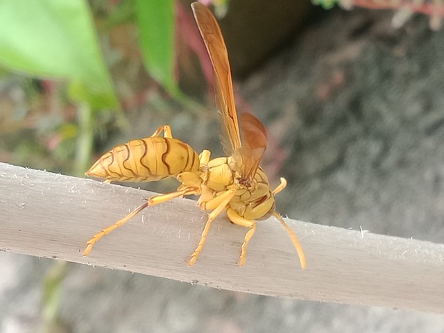 IMG20250925100925.jpg