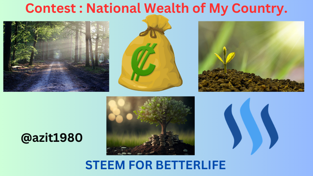 Contest  National Wealth of My Country..png