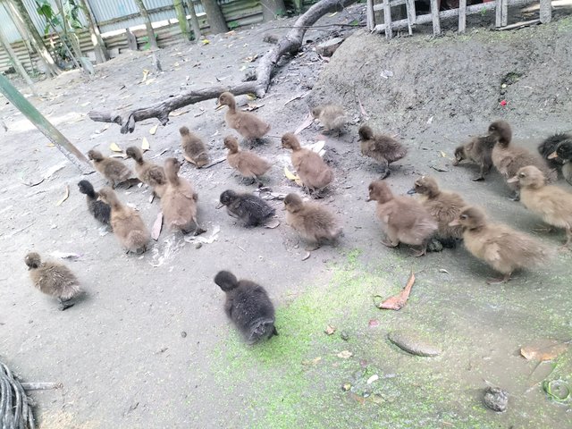 IMG20250713162123.jpg