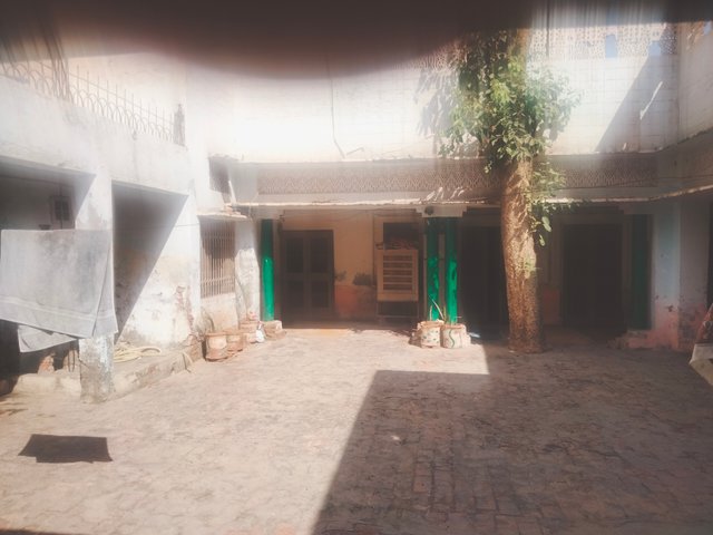 IMG20250602090047.jpg