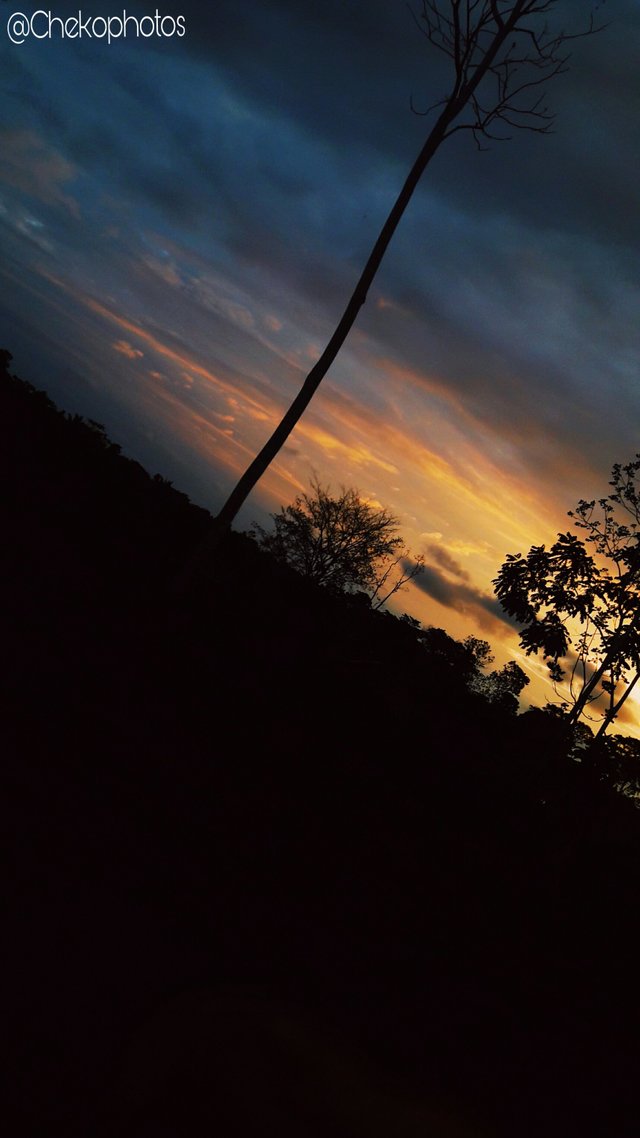 PicsArt_01-18-01.13.14.jpg