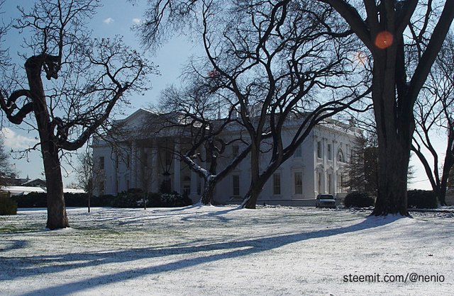 white-house.jpg