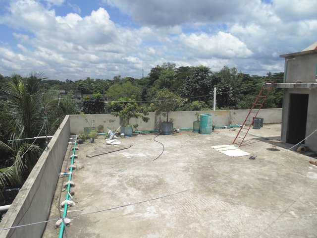 DSC01182.JPG