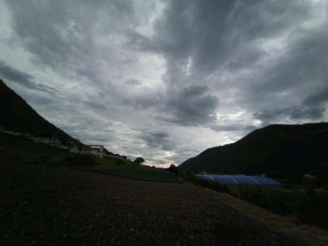 IMG_20250609_083440_736.jpg