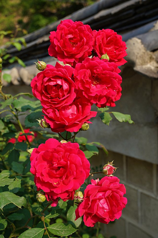 b-DSC01790.JPG