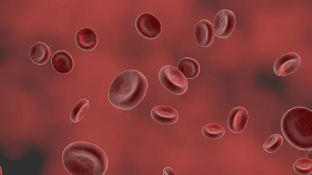 red-blood-cell-5280112_960_720.webp