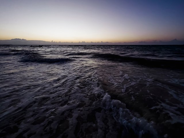 IMG_1135.jpg
