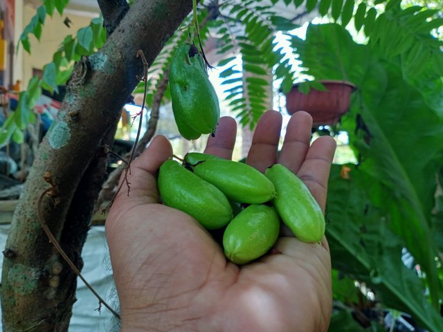 IMG20250906103851.jpg