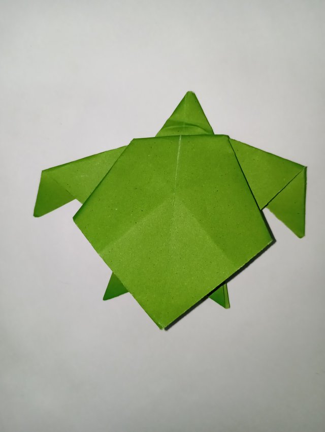 1000054392.jpg
