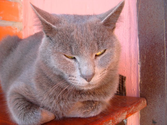 DSC03448.JPG