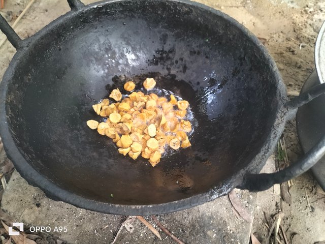 IMG20250613084508.jpg