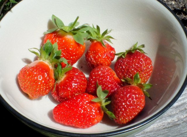 CT0325-Strawbs.jpg
