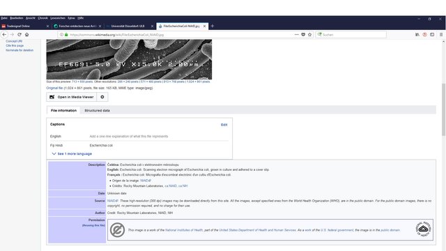 201910301438 Screenshot public domain e coli beitrag.jpg