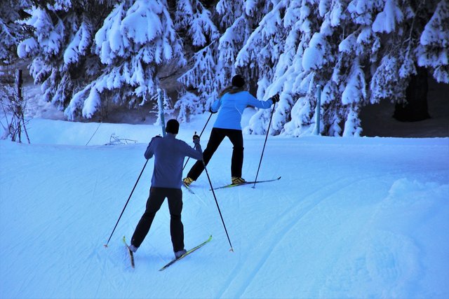 skiers-gf3434c7b7_1280.jpg