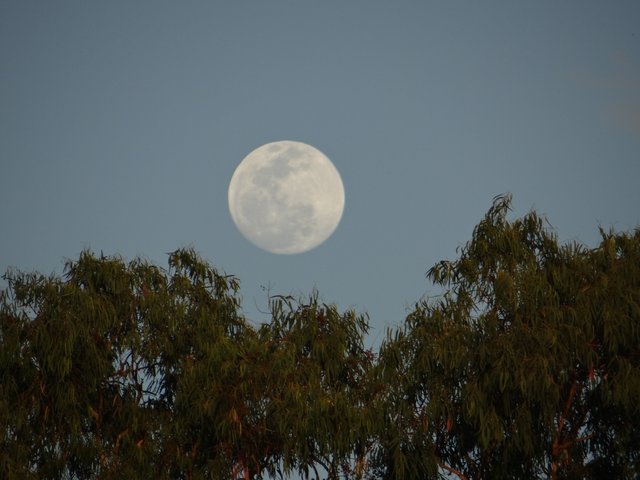 DSC07486.JPG