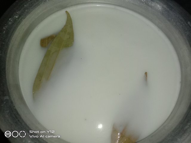 IMG_20250725_195724.jpg