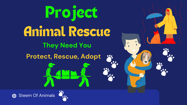 Project Animal Rescue week02.png