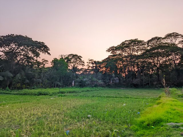 RIYAN_20250401_174245885.jpg