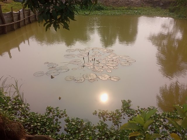 IMG20250512155452.jpg