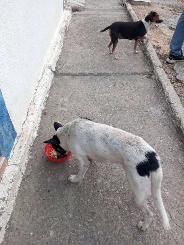 Imagen de WhatsApp 2025-03-22 a las 10.05.15_8d677c81.jpg