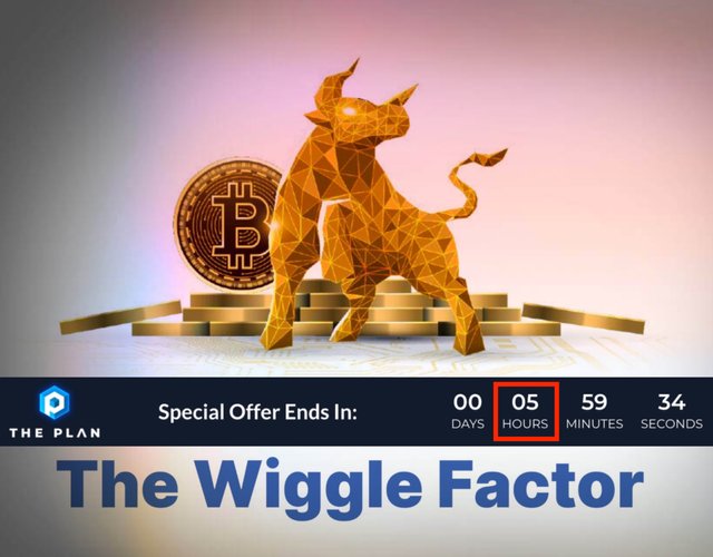 wiggle factor-8.jpg