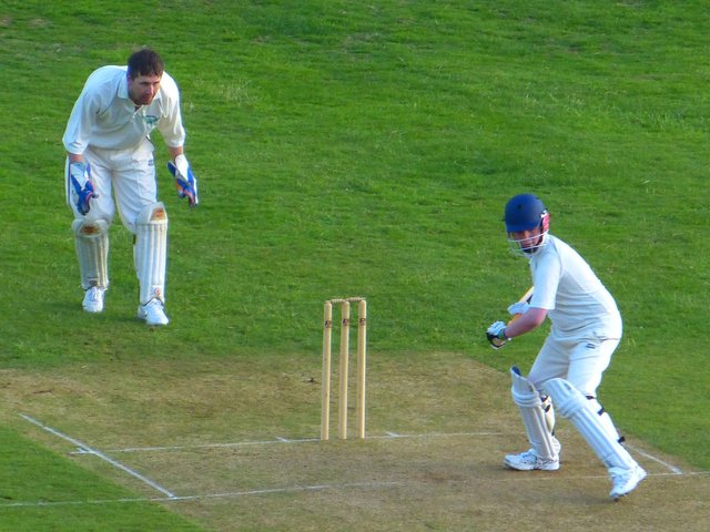 cricket-gb1eef16ee_1920.jpg