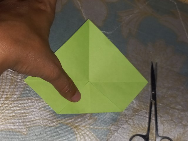 20250512_195530.jpg