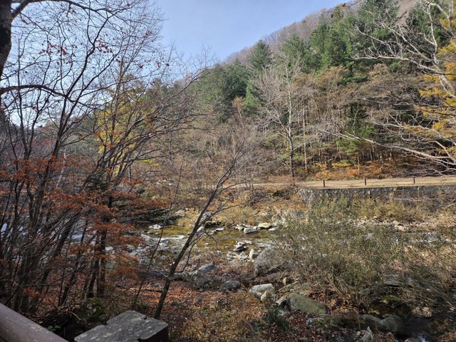 카카오스토리_2025_11_01 23_50_40.jpg