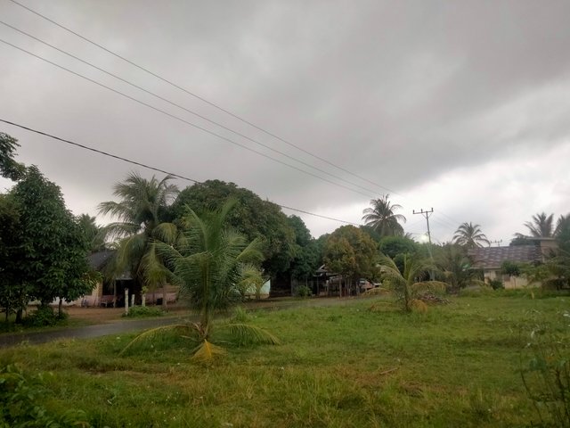 IMG20250621072419.jpg