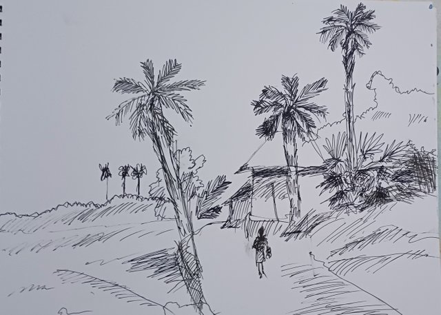 20241024_184743.jpg
