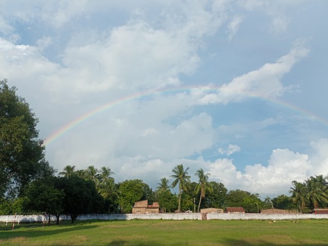 IMG20250815173535.jpg