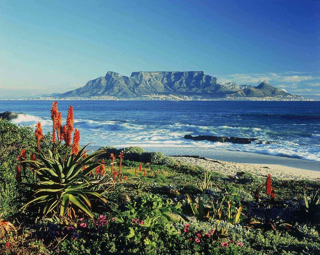 1200px-Table_Mountain_-_South_Africa_(2418536788).jpg