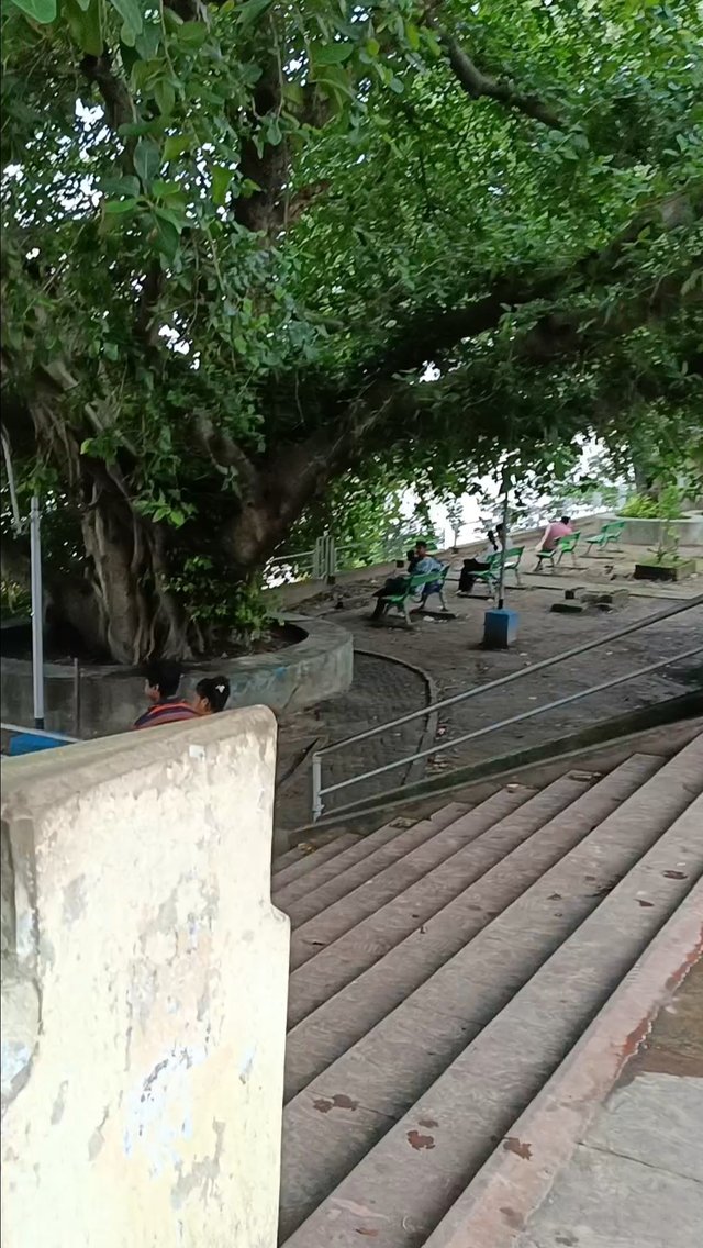 1000016415.jpg