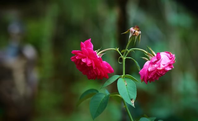 IMG_202882.jpg