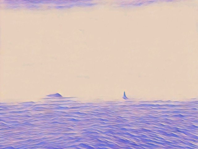 바다164.jpg
