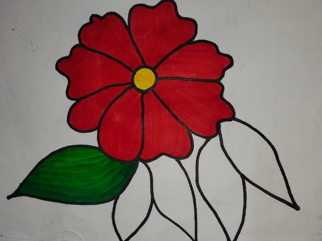 IMG20250629194738.jpg
