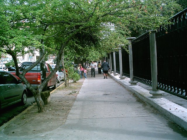 calle sucre.jpg