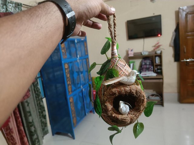 IMG20250516194206.jpg