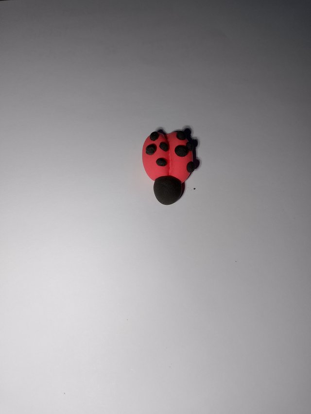 1000057695.jpg