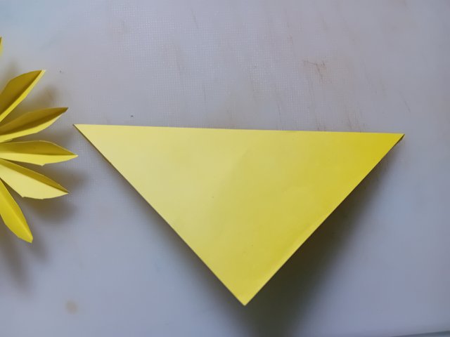 1000043887.jpg