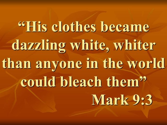 The transfiguration of Jesus. His clothes became dazzling white, whiter than anyone in the world could bleach them. Mark 9,3.jpg