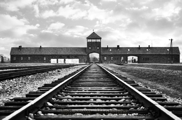 auschwitz.jpeg