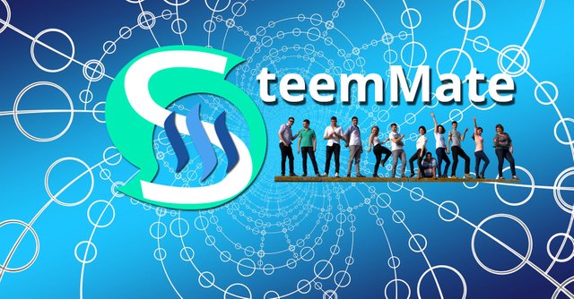 Meredith Loughran blogs on Steemit