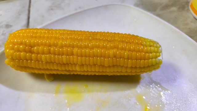 1000114426.jpg
