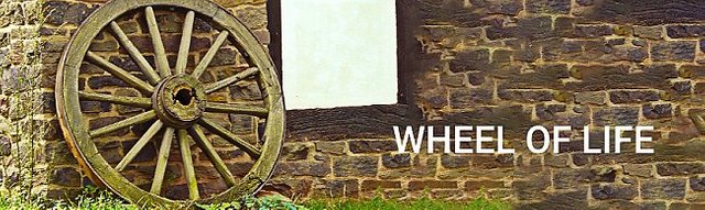 wheel-large (3).jpg