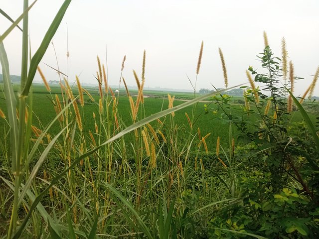 IMG_20250321_093514.jpg