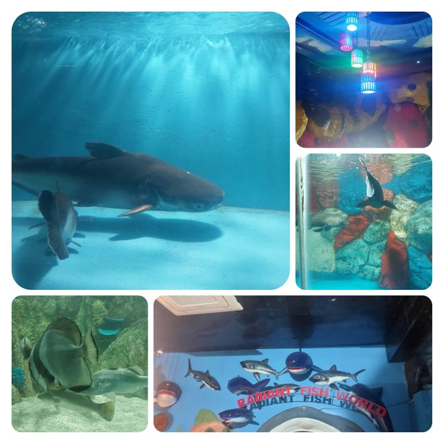 InCollage_20250611_192722689.jpg