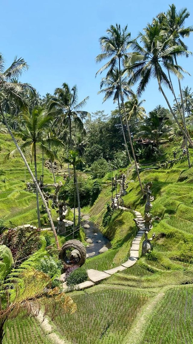 bali2.jpg