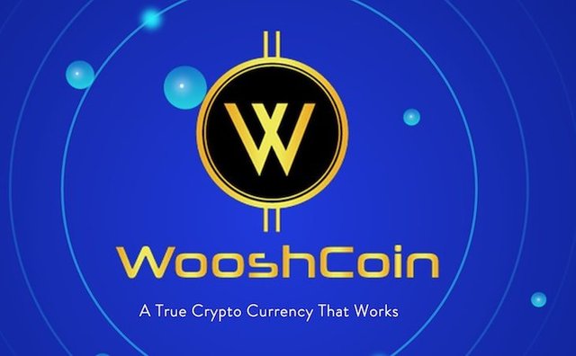 wooshcoin-ico-730x452.jpg