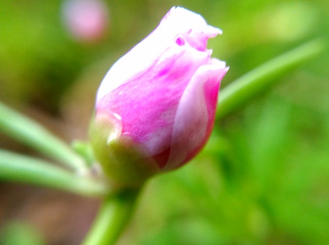 20210519_081519.jpg